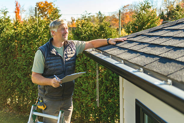 Affordable Gutter Repair And Installation solutions in Lyndon, IL